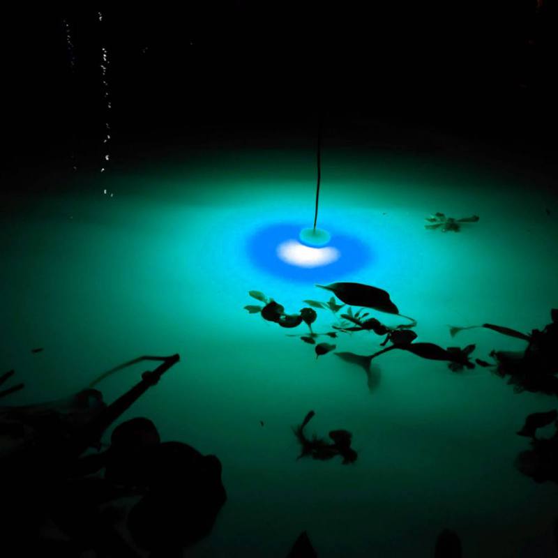 Mini Fishing Attraction Lamp G - Fishing Boat Navigation Light ulasan dan harga