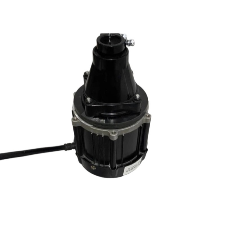 12-60V 500-1500W Brushless Out - Fishing Boat Trolling Motor ulasan dan harga