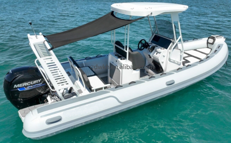 MSCE Certified Sport Style Dou - Fishing Boat Fiberglass ulasan dan harga